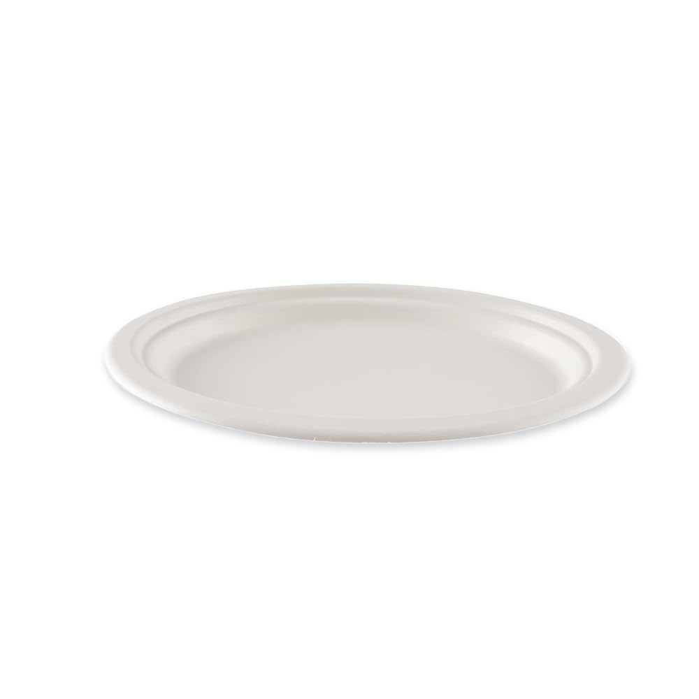 FRANZ MENSCH 500 Stück NATUREStar Teller, oval | Zuckerrohr, weiß, L: 26, 5 cm, B: 20 cm, Karton, Einwegteller, Zuckerrohrteller, Einmalteller