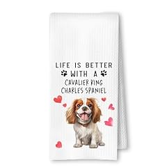 Cavalier King Life is Better