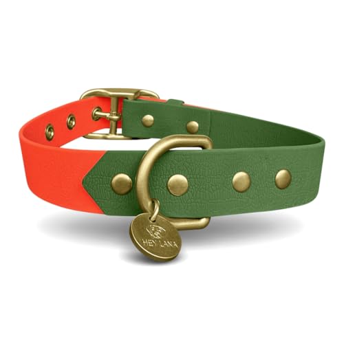 Collier pour grand chien orange fluo réglable de 43 à 56 cm - 4