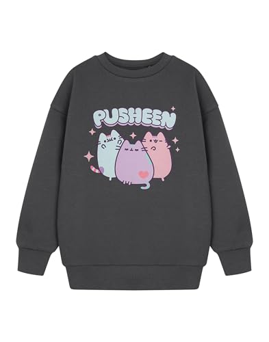 Pusheen Graues Sweatshirt für Mädchen | Niedlicher Pullover mit Kawaii-Katzengrafik | Langarmpullover für Kinder und Jugendliche | Gemütliches lässiges