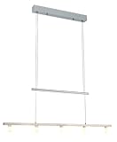 CITITZEN-LED Paul Neuhaus Pendelleuchte 5x LED / 5 W / 3000 K Innenleuchte, stahl IP20 2074-55