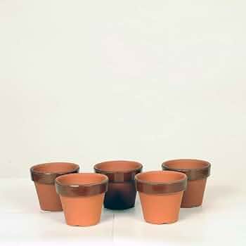 素焼き鉢　3号　80個　セット売り　新品未使用 313xSmKzLDL._UF350,350_QL50_.jpg