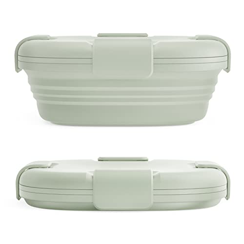 Stojo Faltbare Sandwich-Box für Kinder, wiederverwendbar, Taschenformat, für Reisen, Camping, Lebensmittelaufbewahrung, Snack-Box mit Deckel, 680 ml, Salbeigrün Cover