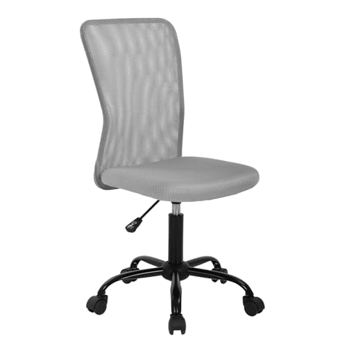 10 Best Computer Chairs under $50 for Comfort and Ergonomic Support 11 Ruesleag Home Office Chair Ergonomic Mid-Back Mesh Desk Chair Computer Armless Executive Task Chair Lumbar Support Armrests Swivel Rolling PC Chairs Small Meeting for Adults,Grey