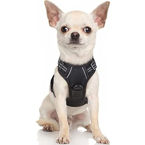rabbitgoo Harnais Chien Anti Traction XS Cover