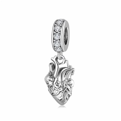 Dijes de anatomía médica S925 de plata de ley para abalorios de joyería DIY