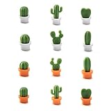 Diseño único de plantas >>> Los elementos de plantas verdes en la vida moderna, una forma encantadora para darle más diversión a la vida, para agregar un toque de calidez al hogar, conocerlos a todos en el futuro.