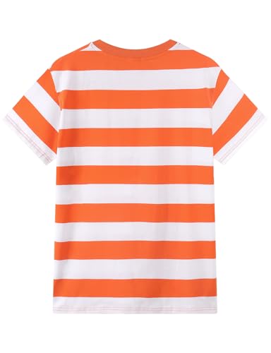 Spring&Gege Men's Short Sleeve Striped Cotton Crew Neck T-Shirts2
