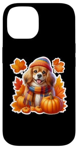 H H `xbg XpjG   Ӎ }}  X}zP[X iPhone 14 p