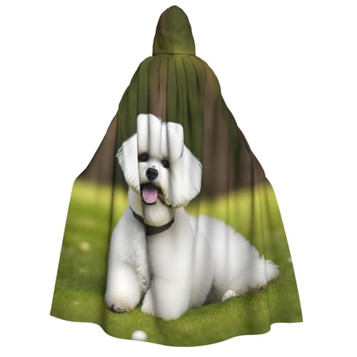 Cape à capuche viking et bichon frisé pour cosplay Halloween et costume médiéval