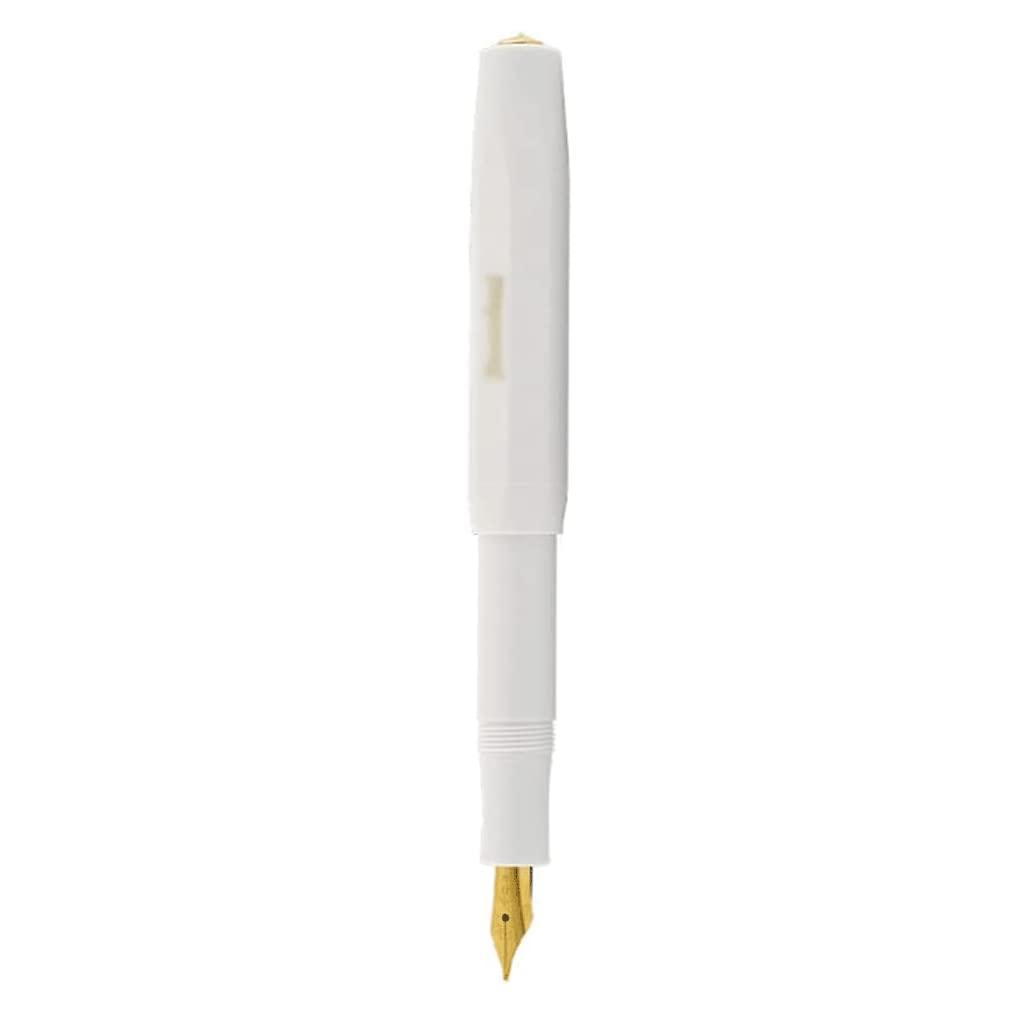 LIOONS Füllfederhalter mit ergonomischem Griff und Edelstahlfeder Glattes und einfaches Schreiben Stiftspitze Bestes Stift-Geschenkset für Männer und Frauen