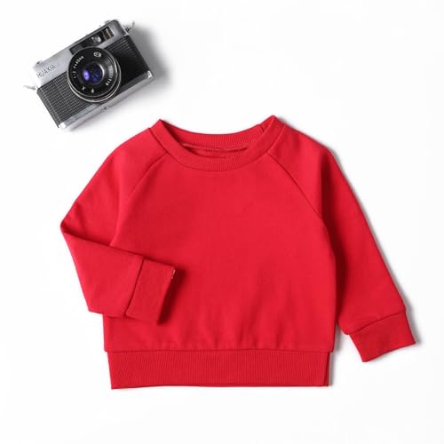 DEFAHN Toddler Baby Pullover Sweatshirt,Long Sleeve Infant Boy Girl Crewneck Active Tshirts 6 Month-3Y2