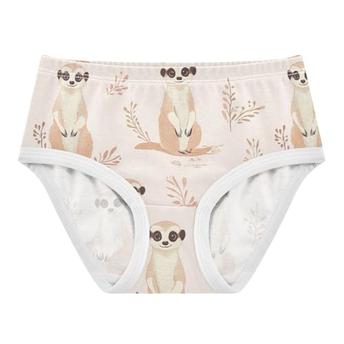 Wusikd Meerkats Girls' Underwear Cotton Cute Girls Briefs Soft Toddler Underwear 2T