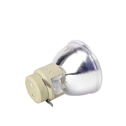 Ampoule de projecteur BL-FU195B E20. 190/0,8W pour Optoma HD141X HD26