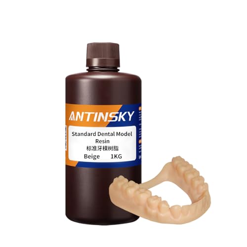 Antinsky Standard Dental Model Resin Dental Model Crown and Bridge...