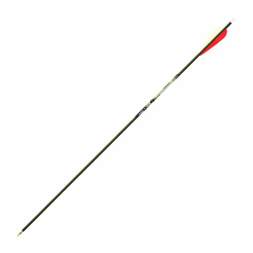 Gold Tip EXP Hunter 7595 Arrow with 2-Inch Vane (Black Dozen, 34)