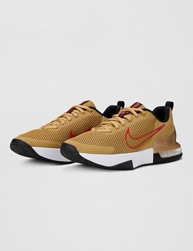 Image of Nike Men's Air Max Alpha Trainer 6 Workout Shoes