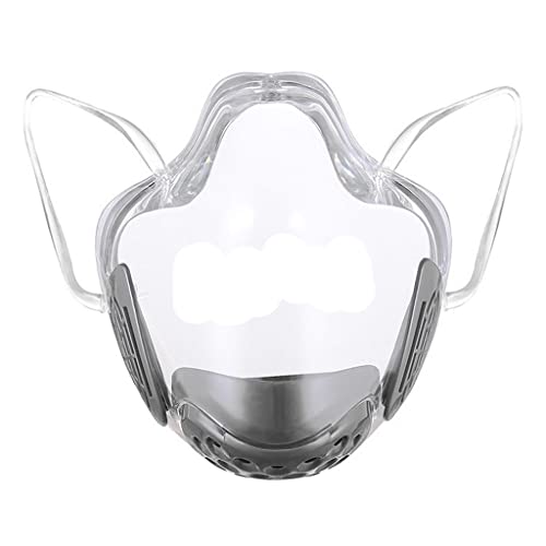 Dickly Mascarilla Transparente para Adultos con Filtro Transpirable, Cubierta Mejorada Y Moderna, Gris