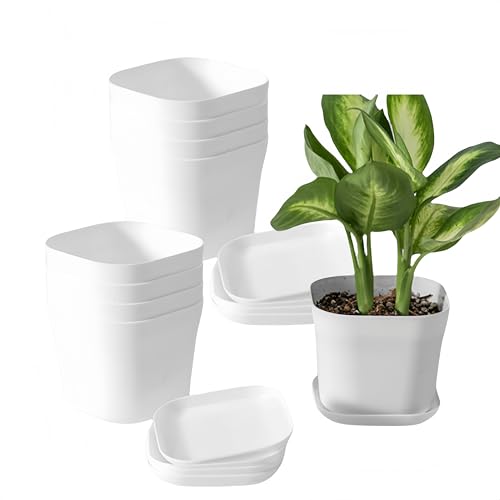 Naisfei 10 Stücke Kunststoff Blumentopf, Pflanztopf Selbstbewässerung Übertopf mit Untersetzer, Blumentopf 10cm Durchmesser für Drinnen und Draußen Geeignet(Weiß)