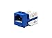 Cat 6A Jack Feedthrough Module Blue