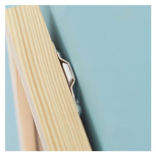 Image of GeRRiT 20pcs White Painting Photo Frame Hook Invisible Wall Nail Mount Hook Mirror Picture Hanging Hanger for Home Fastener Accessories, 10918302681