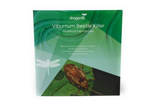 Dragonfli Viburnum Beetle Killer Nematodes - Naturally Kill Viburnum Beetle Larvae Pests