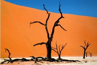 Howard Ruby: Photographs: Howard Ruby: Amazon.com: Books