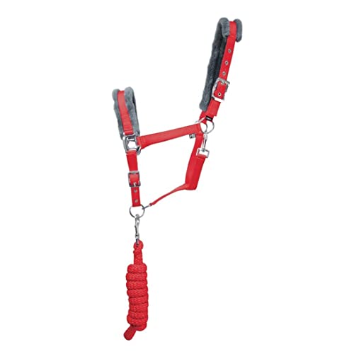 Hy Sport Active Horse Headcollar and Leadrope (Full) (Chilli Red)