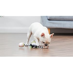 Beetlejuice-Tennis-Ball-Set-for-Dogs-4pk-Fun-Fetch-Toys-for-Dogs-Pack-of-Balls-Dog-Balls-Gifts-for-Fans-of-BEETLEJUICE-and-Halloween - Cucciolini Doodles   Beetlejuice-Tennis-Ball-Set-for-Dogs-4pk-Fun-Fetch-Toys-for-Dogs-Pack-of-Balls-Dog-Balls-Gifts-for-Fans-of-BEETLEJUICE-and-Halloween