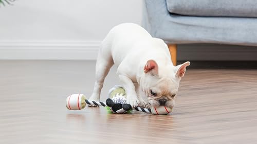 Beetlejuice-Tennis-Ball-Set-for-Dogs-4pk-Fun-Fetch-Toys-for-Dogs-Pack-of-Balls-Dog-Balls-Gifts-for-Fans-of-BEETLEJUICE-and-Halloween - Cucciolini Doodles   Beetlejuice-Tennis-Ball-Set-for-Dogs-4pk-Fun-Fetch-Toys-for-Dogs-Pack-of-Balls-Dog-Balls-Gifts-for-Fans-of-BEETLEJUICE-and-Halloween