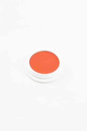 舞台屋 ペイントカラー No.5A コスプレ メイク 舞台 ミュージカル