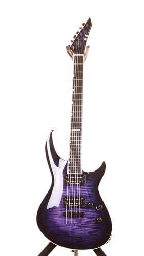 Amazon.com: ESP E-II Horizon-III Electric Guitar with Case