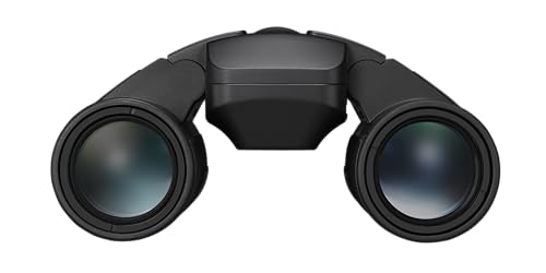 NIKON STABILIZED 12 X - vue 5