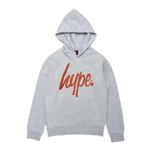 Image of hype Kids Hoodies Pullover Sweatshirt For Boys Girls Designer Printed in Age 5 to 12 Years unisex - Age 5-6 years Grey