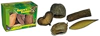 Lucky Reptile Nature`s Treasure - Deko Box