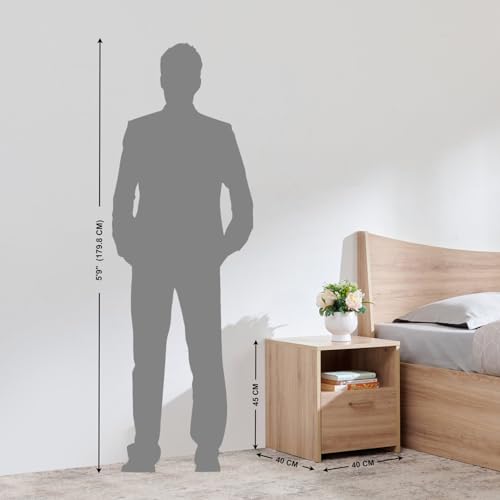 Image of Home Centre Helios Alton Queen Bed |Engineered Wood with Box Storage Queen Bed| (Oak) |1 Year Warranty