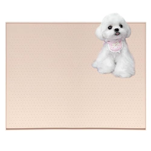 Lifetips }`[YiMaltesej gC}`FX^[eA ybggC}bg VR h ~ 􂦂  L V[gh~ g[p t[Oی ybggC}bg VR}bg ΍ gCV[gŒ