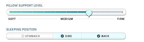 dream surrender firm with microban