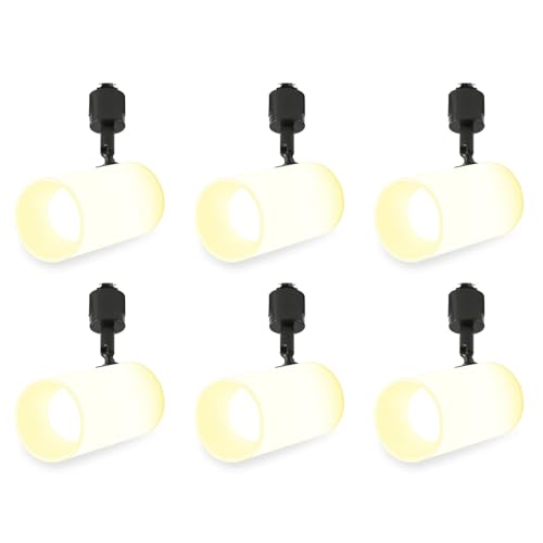 Allegro Lighting _Ng[ X|bgCg  E26 _Ng[Cg F F dF RF F E26  CeBO_Ng[ JtF ItBX Ɩ ubN zCg Vv k _ 