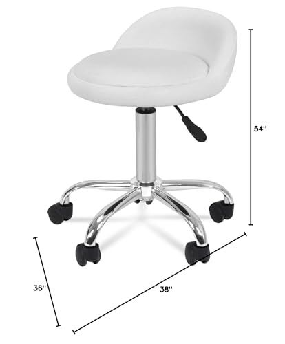 Adjustable Hydraulic Swivel Salon Stool Chair for Tattoo Massage and Spa with Back Rest