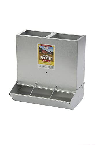 Little Giant 3-Hole Piglet Feeder