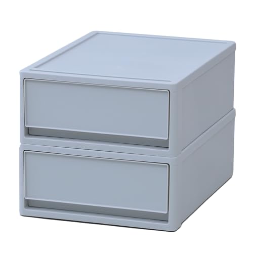 JEJ �y2�g�z �z�R��������ɂ��� ���������Ȃ� �N���[�[�b�g���[�{�b�N�X ��39×���s53×����18cm ���[�P�[�X �����o�� �ߑ��P�[�X �y���{���z ���C�g�O���[ STRC-53S-2 LGY/LGY