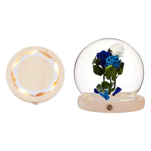Dôme en verre pour plantes et décorations artisanales - 2