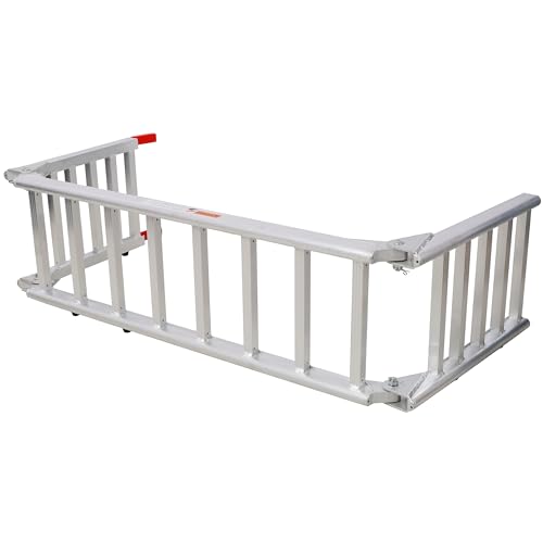 Rampa de aluminio plateada premium 1400 LBS/par miniatura 2