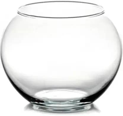 Image of Beautiful Clear Glass Pot for Lucky Bamboo Tree /Money Plant (Without Tree) Glass Container Set