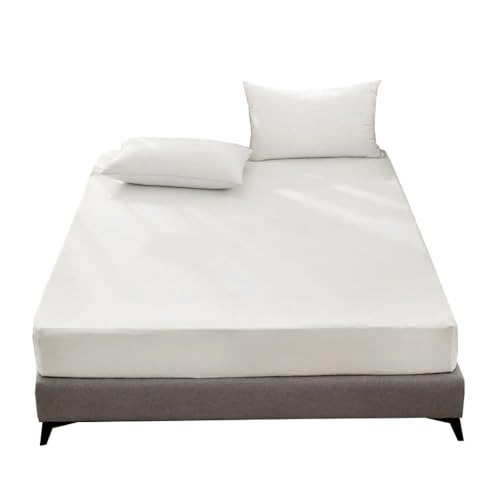 Sábana bajera tamaño queen invierno cálido microfibra pelo grueso esponjoso antiestático ligero cepillado bolsillo alrededor de 30 cm sábana de cama esponjosa que no se desprende sábana de invierno