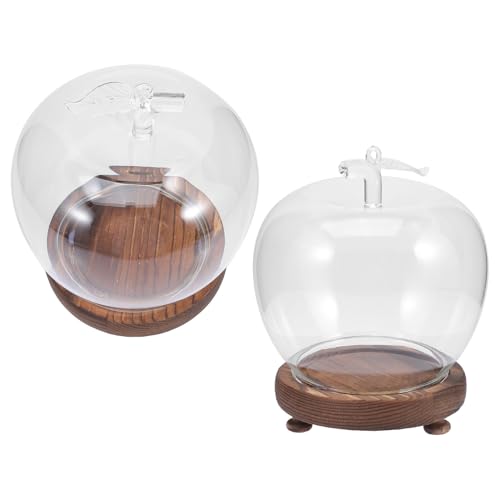 HEALSOPTHY Lot de 2 Cloches Décoratives en Verre Transparent avec Socle en Bois Vintage Lumineux, Dôme Protecteur Anti-poussière pour Vitrine Figurines et Fleurs Stabilisées,
