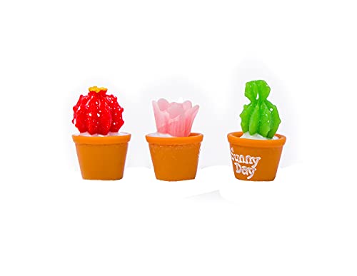 Birostiana Miniature Dollhouse Accessories 14 Pieces Miniatures Plants Flowers Bonsai Greenery Ornament For Dollhouse Fairy Garden Landscape Diy Decor Craft #TOP2