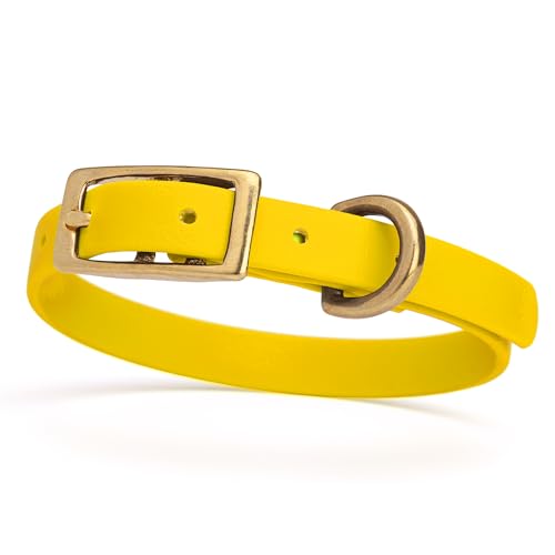 Image of Viper Biothane Heavy Duty Waterproof Dog Collar Strong Coated Nylon Webbing w /Solid Brass Hardware Odor-Proof Easy to Clean High Performance Fits Small Medium or Large Dogs, Lemon Yellow
