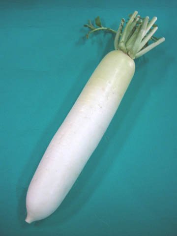だいこん R N Amazon.co.jp: 日常の一般野菜 だいこん ダイコン 大根 1本 : 食品